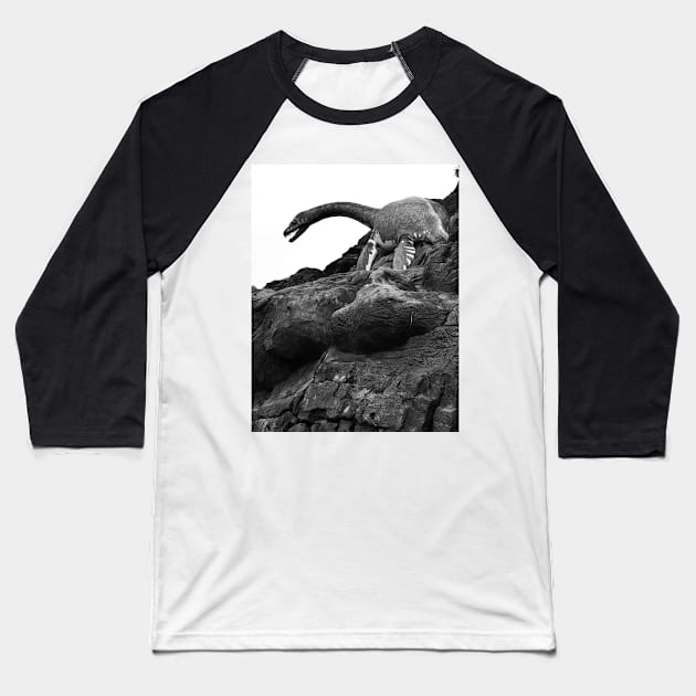 Plesiosaurus Sculpture. Vladivostok Oceanarium Baseball T-Shirt by IgorPozdnyakov